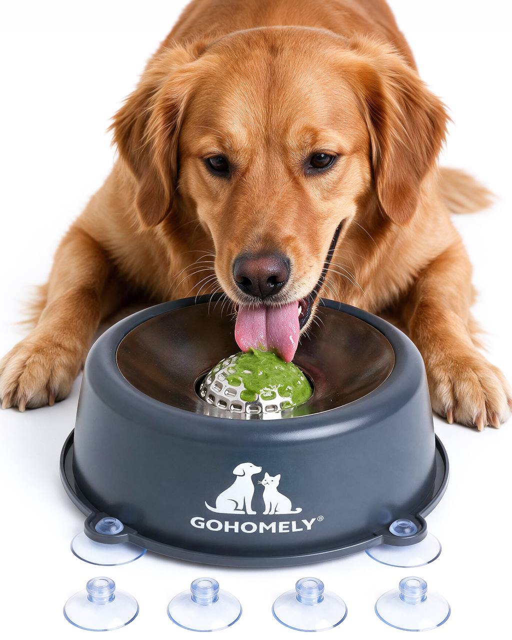 GOHOMELY Premium Slow Feeder Dog Bowl with Stainless Steel Rolling Ball