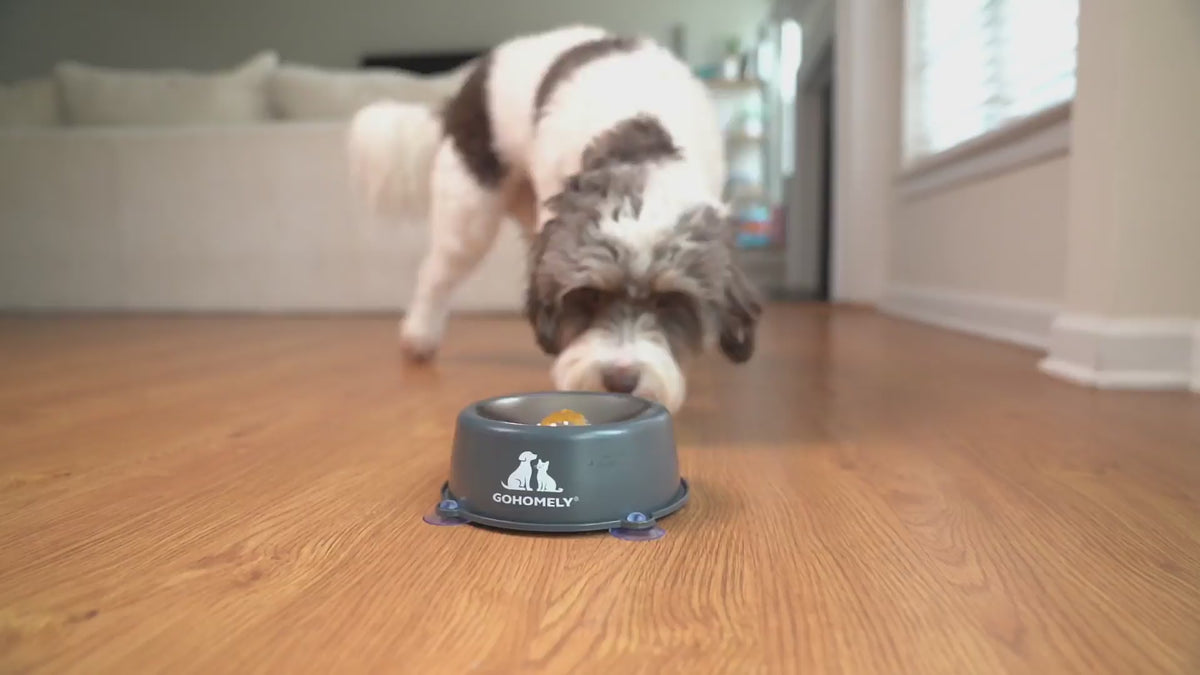 Load video: GOHOMELY Slow Feeder Bowl in use